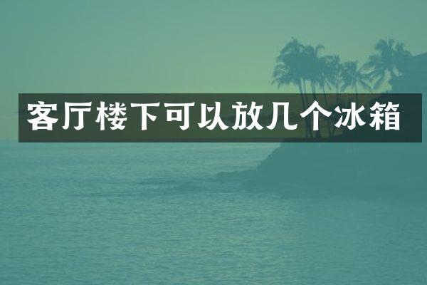 客厅楼下可以放几个冰箱