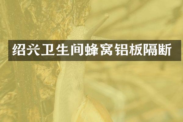 绍兴卫生间蜂窝铝板隔断