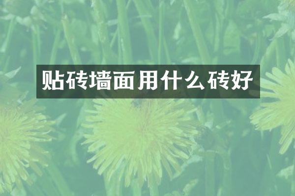 贴砖墙面用什么砖好