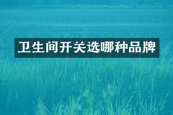 卫生间开关选哪种品牌