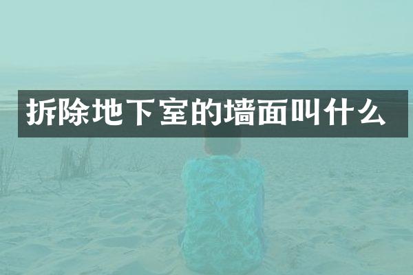 拆除地下室的墙面叫什么