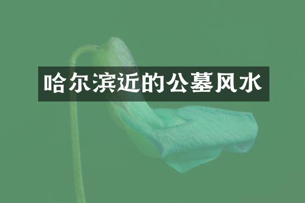哈尔滨近的公墓风水