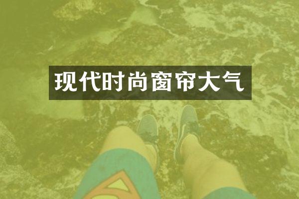 现代时尚窗帘大气