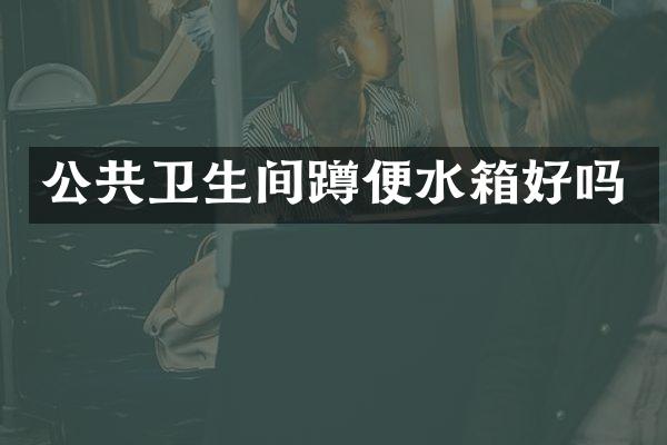 公共卫生间蹲便水箱好吗