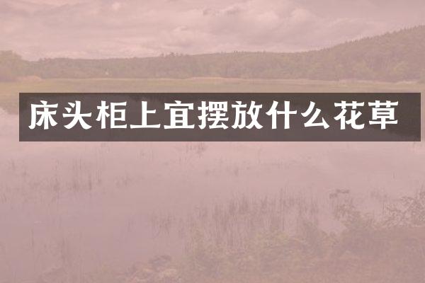 床头柜上宜摆放什么花草