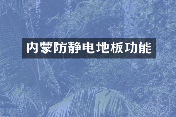 内蒙防静电地板功能