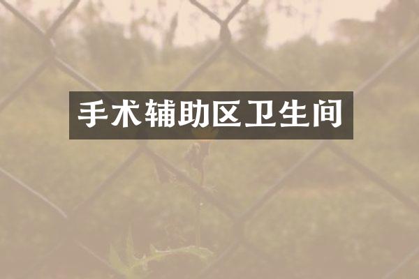 手术辅助区卫生间