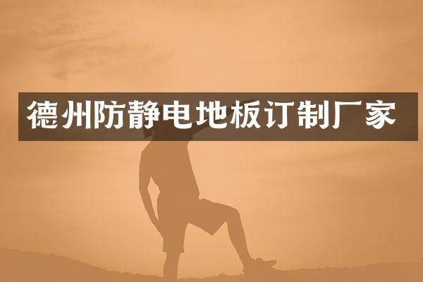 德州防静电地板订制厂家