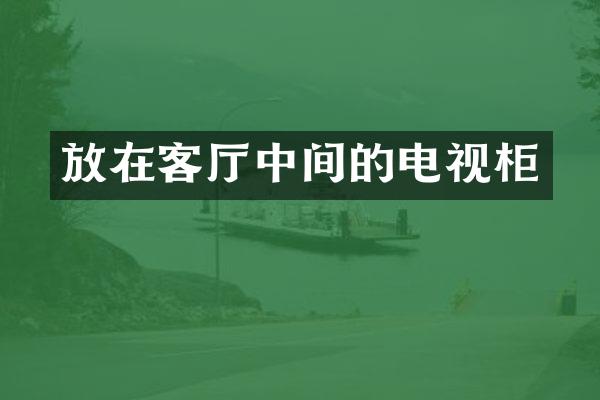 放在客厅中间的电视柜