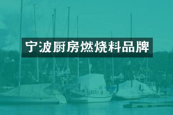 宁波厨房燃烧料品牌