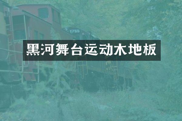 黑河舞台运动木地板