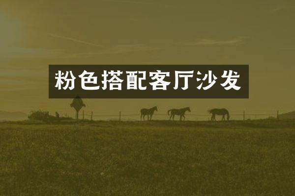 粉色搭配客厅沙发