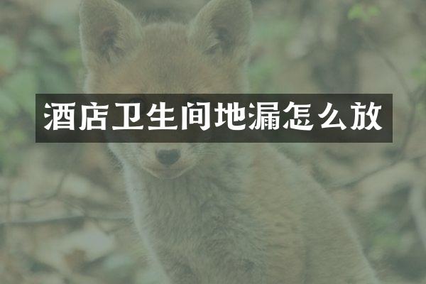酒店卫生间地漏怎么放