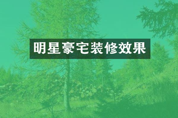 明星豪宅装修效果