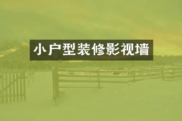 小户型装修影视墙