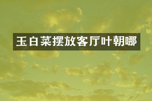 玉白菜摆放客厅叶朝哪