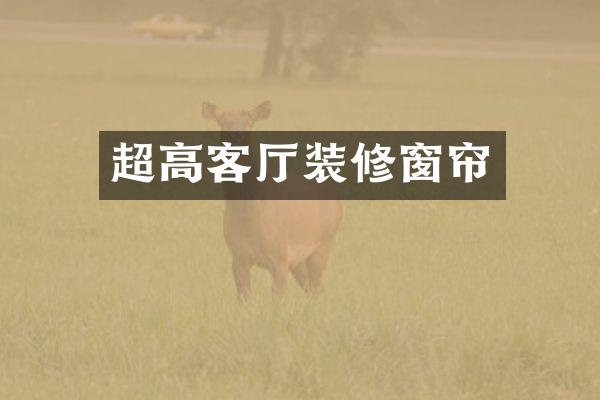 超高客厅装修窗帘