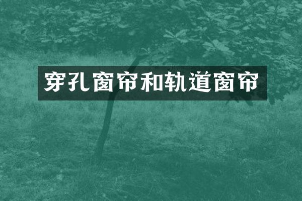 穿孔窗帘和轨道窗帘