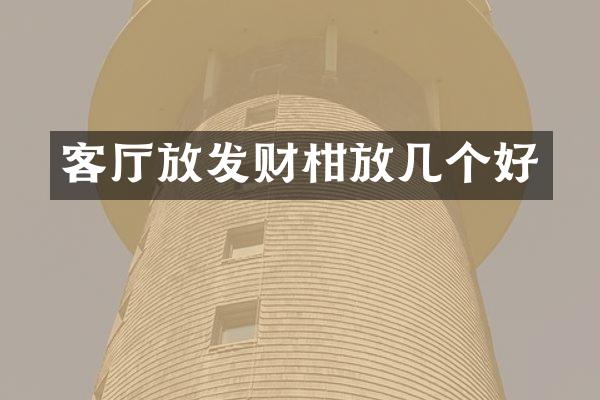 客厅放发财柑放几个好