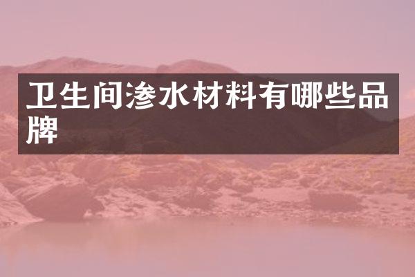 卫生间渗水材料有哪些品牌