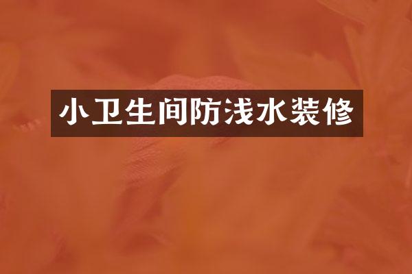 小卫生间防浅水装修