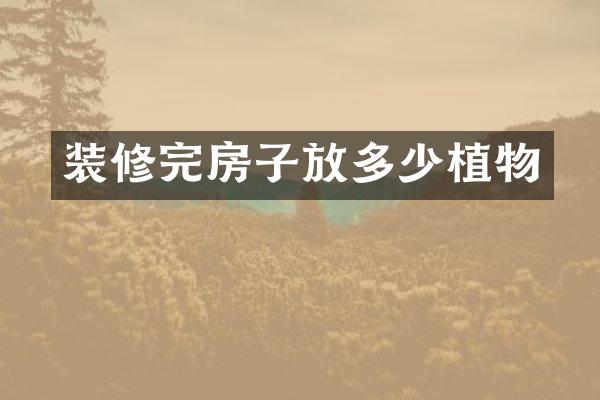 装修完房子放多少植物