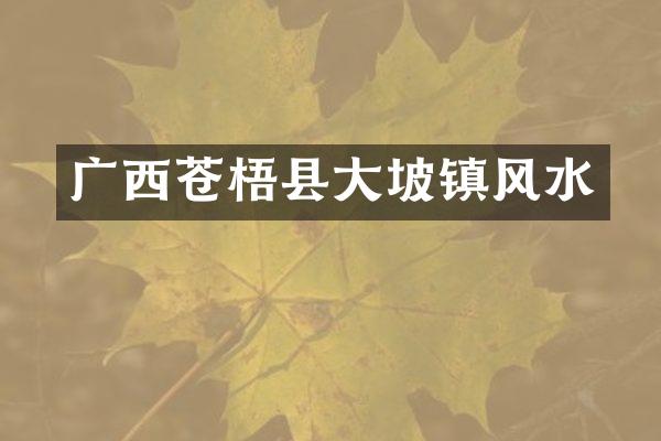 广西苍梧县大坡镇风水