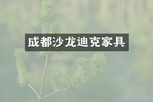 成都沙龙迪克家具