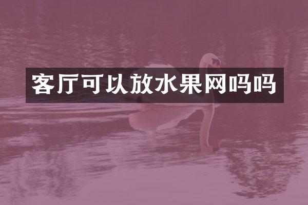 客厅可以放水果网吗吗