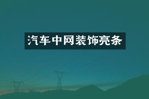 汽车中网装饰亮条