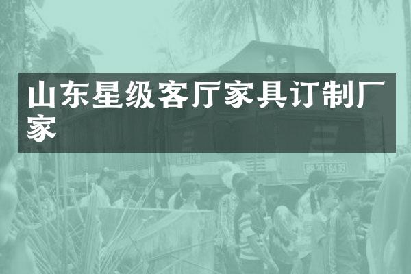 山东星级客厅家具订制厂家