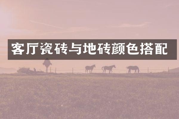 客厅瓷砖与地砖颜色搭配