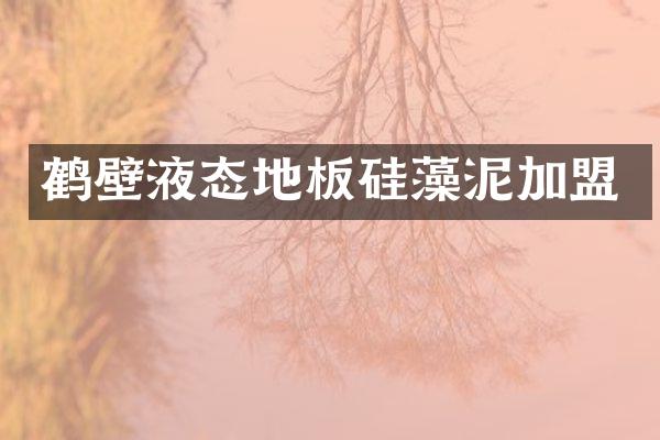 鹤壁液态地板硅藻泥加盟