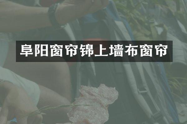 阜阳窗帘锦上墙布窗帘