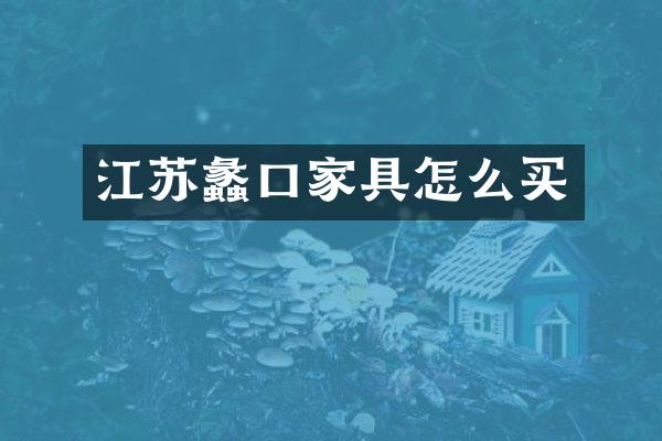 江苏蠡口家具怎么买