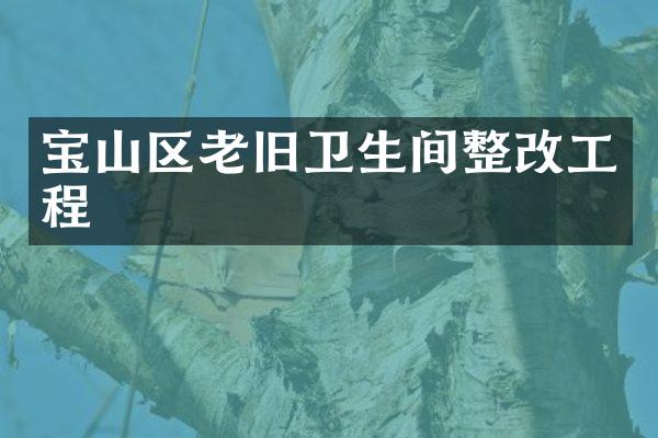 宝山区老旧卫生间整改工程