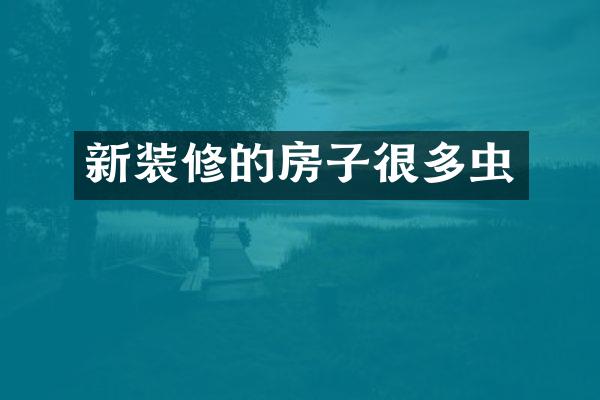 新装修的房子很多虫