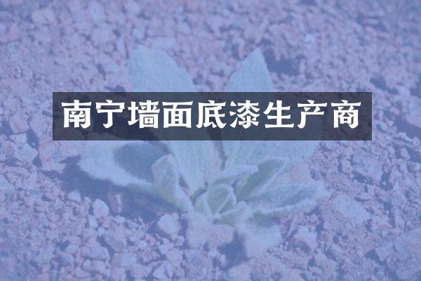 南宁墙面底漆生产商