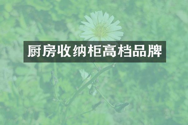 厨房收纳柜高档品牌