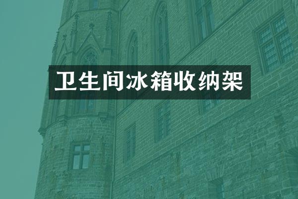 卫生间冰箱收纳架