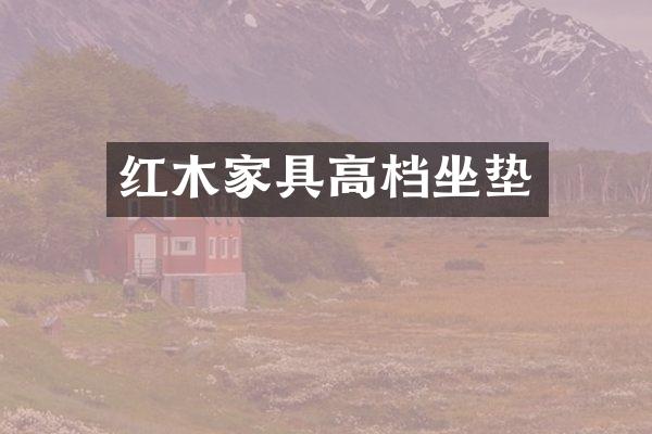 红木家具高档坐垫