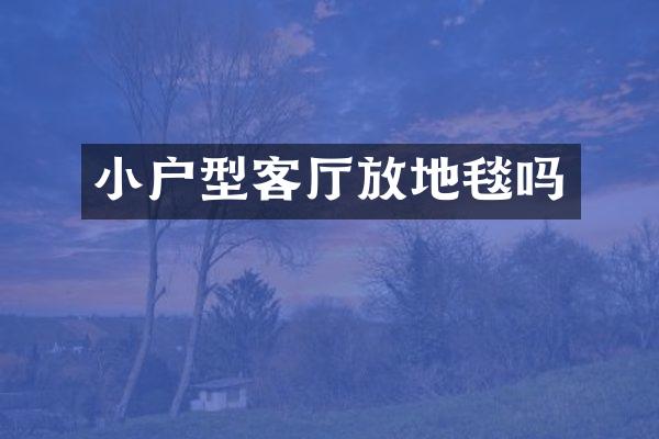小户型客厅放地毯吗