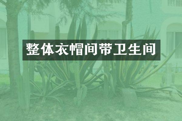 整体衣帽间带卫生间