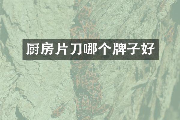 厨房片刀哪个牌子好