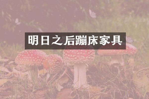 明日之后蹦床家具