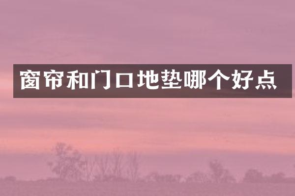 窗帘和门口地垫哪个好点