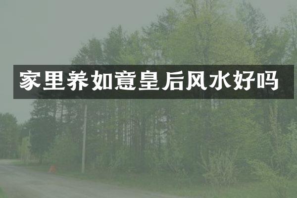 家里养如意皇后风水好吗