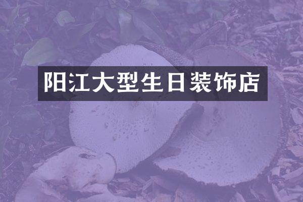 阳江大型生日装饰店