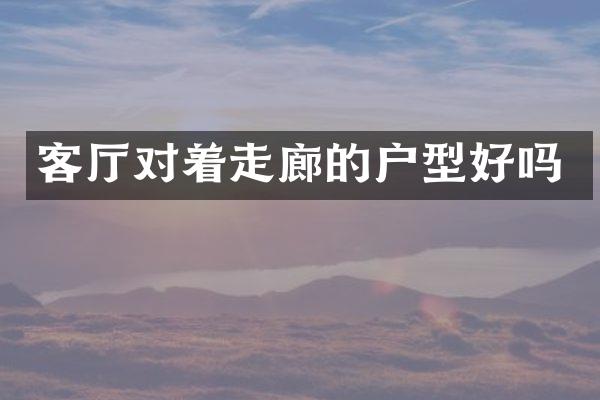 客厅对着走廊的户型好吗