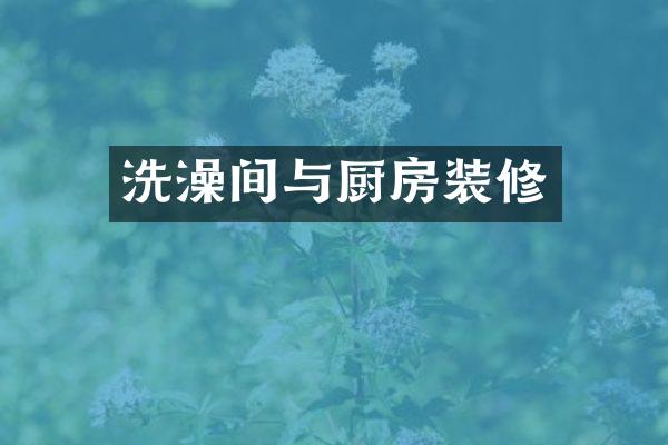 洗澡间与厨房装修